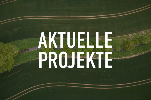 Felder von Oben - Aktuelle Projekte
