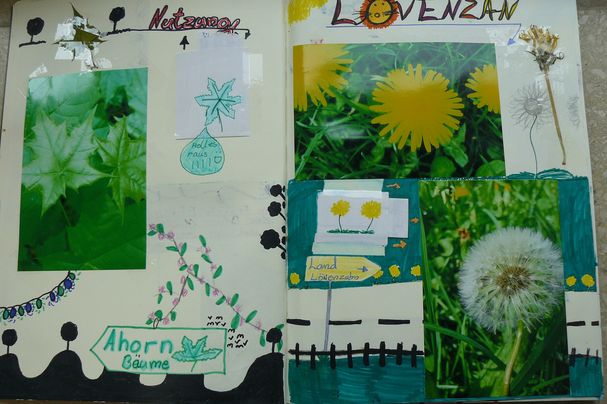 Naturtagebuch gemalt
