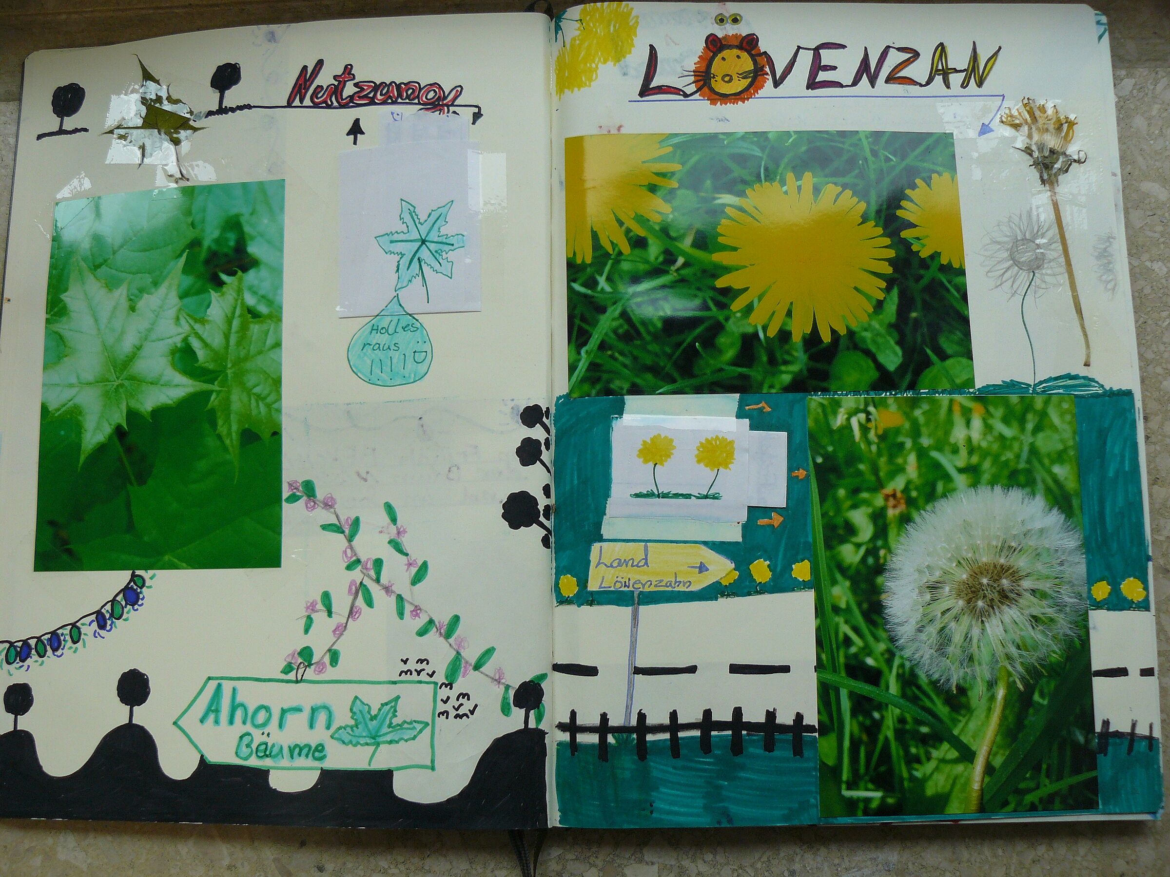 Naturtagebuch gemalt