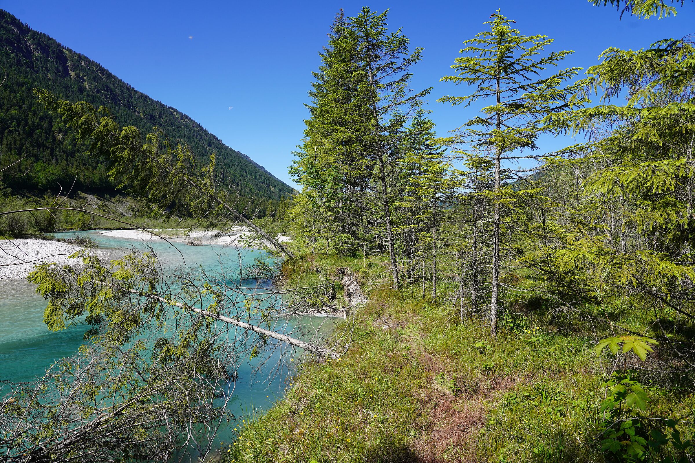 Gewässerrandstreifen Isar Gewässerrandstreifen Isar