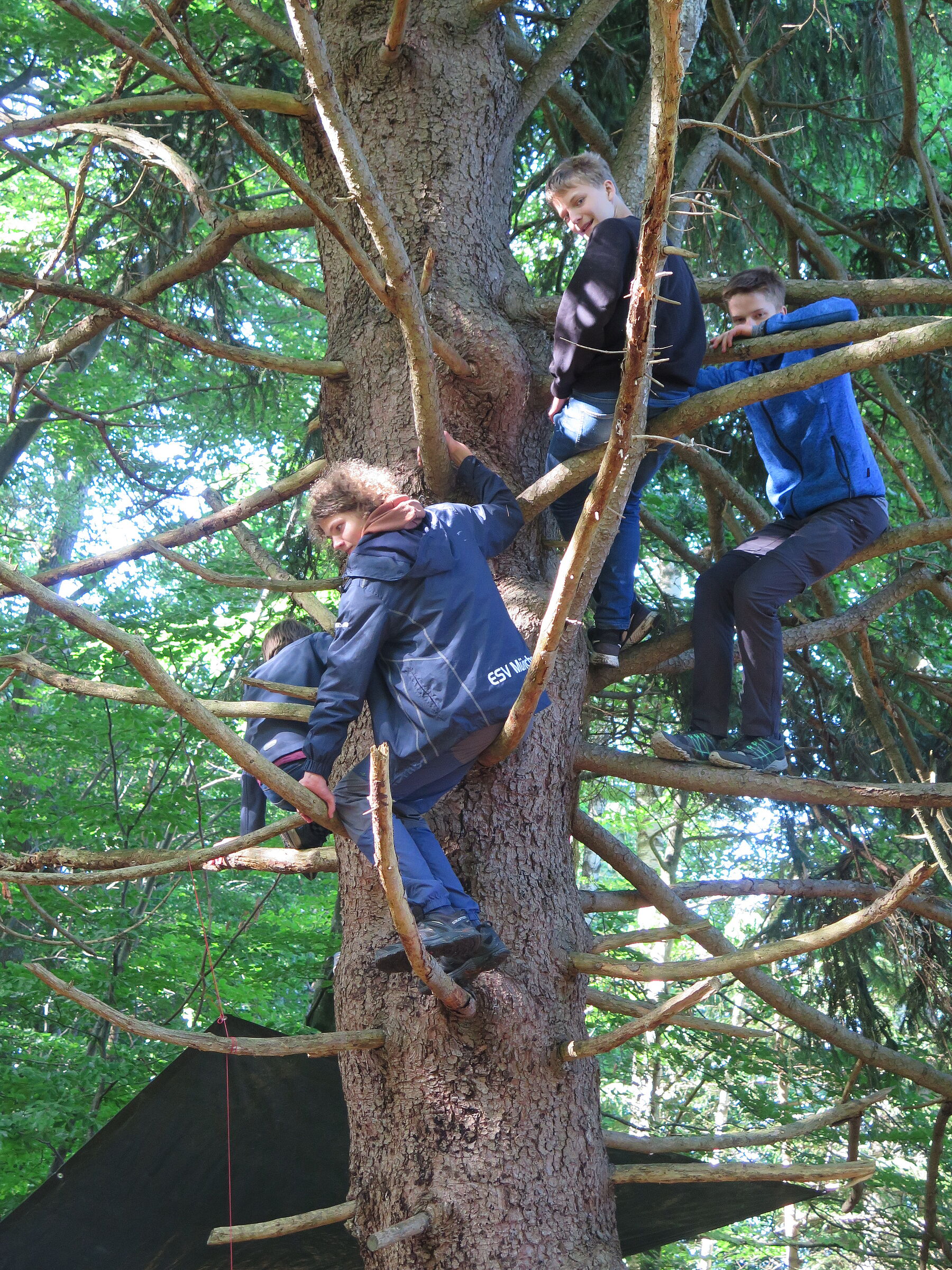 Drei Kinder klettern auf einen Baum