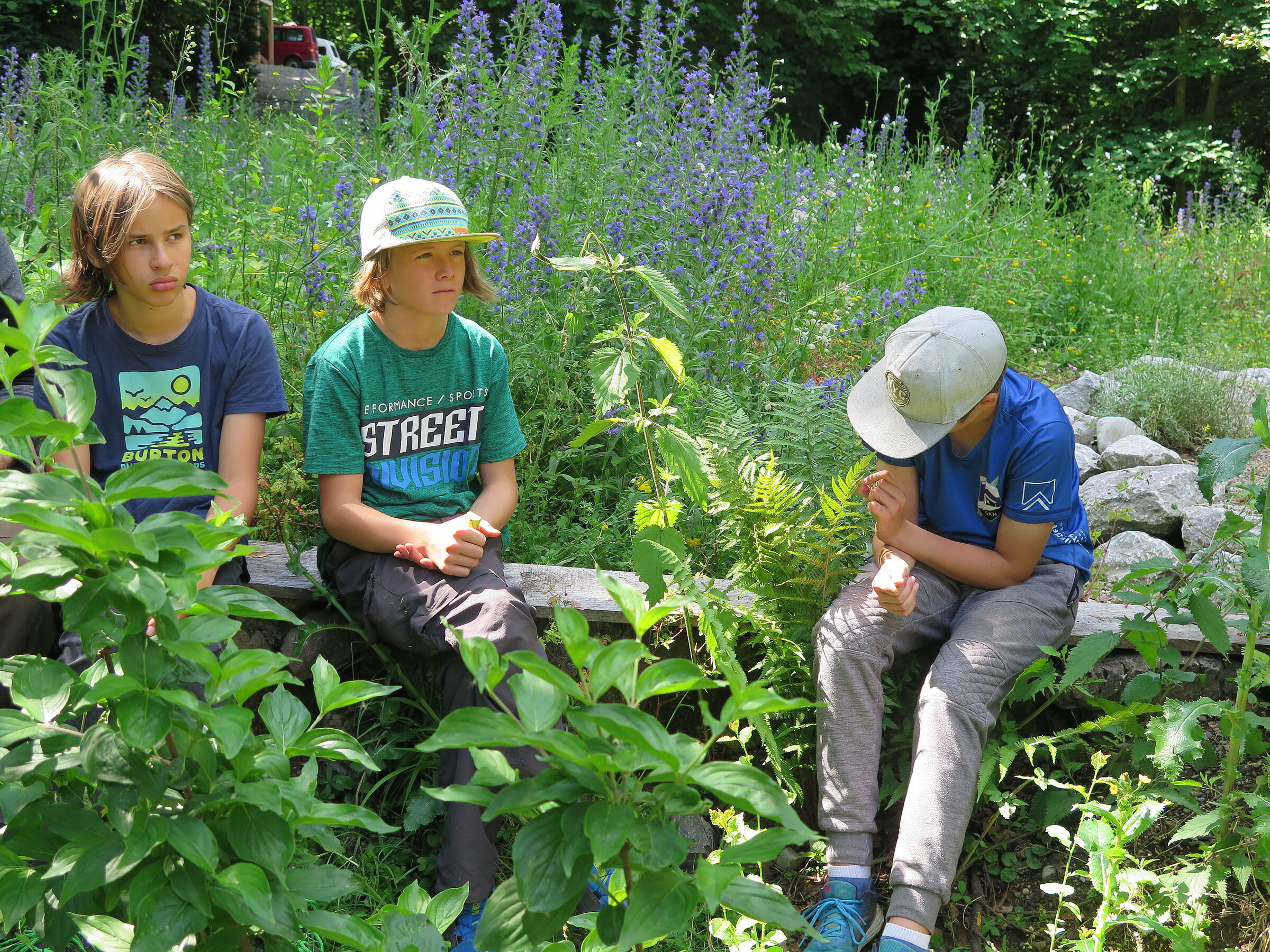Drei Kinder sitzen zwischen Kräutern