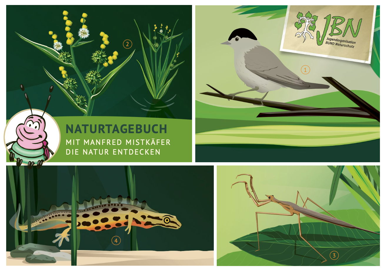Naturtagebuch Postkarte JBN Naturtagebuch Postkarte JBN